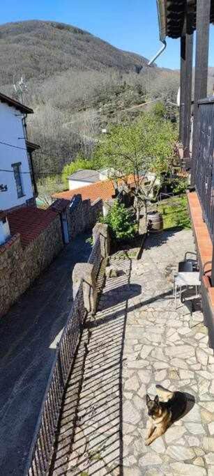 Hostal Montemayor Montemayor del Rio 외부 사진